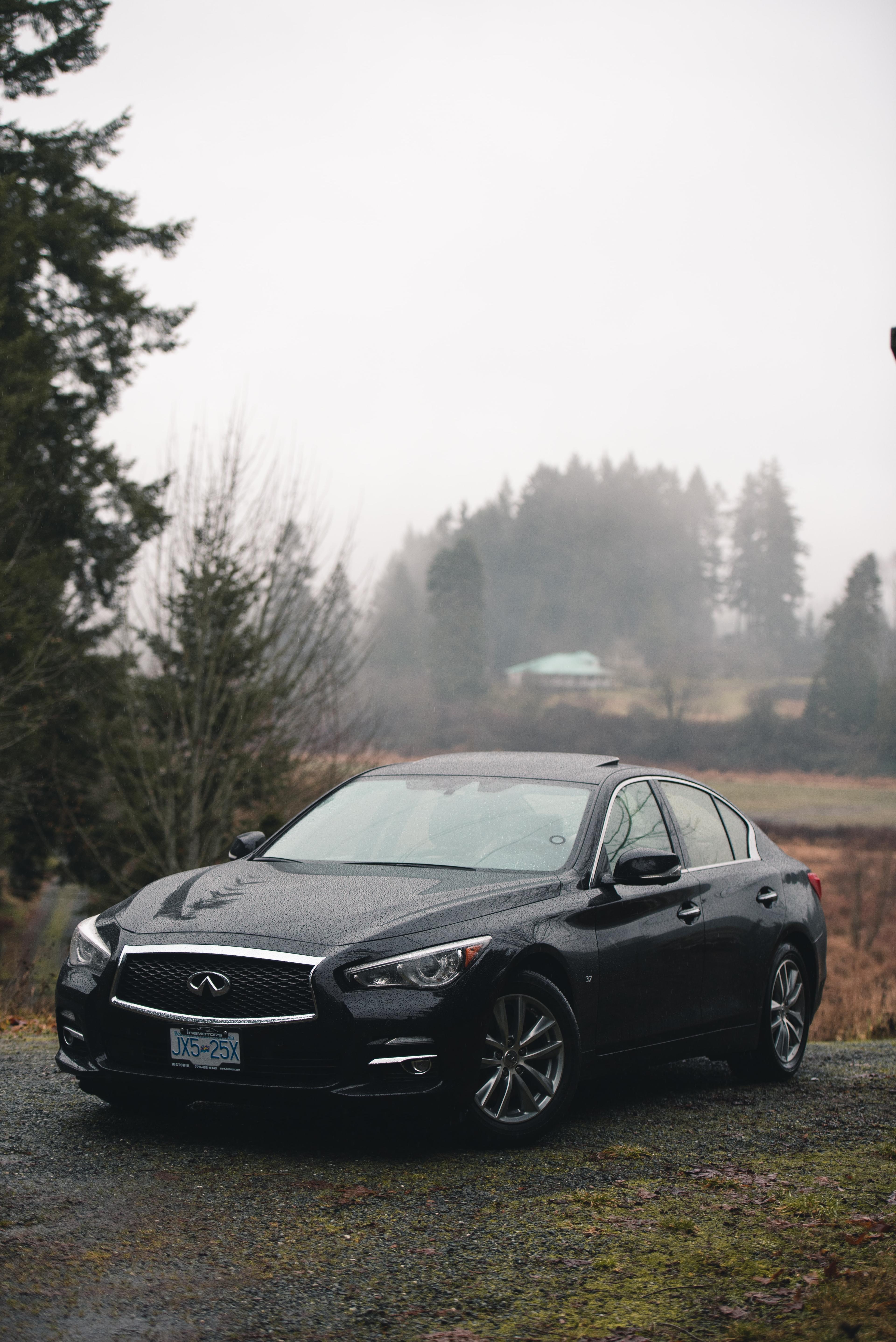 Black Q50 Infiniti on a foggy day. 