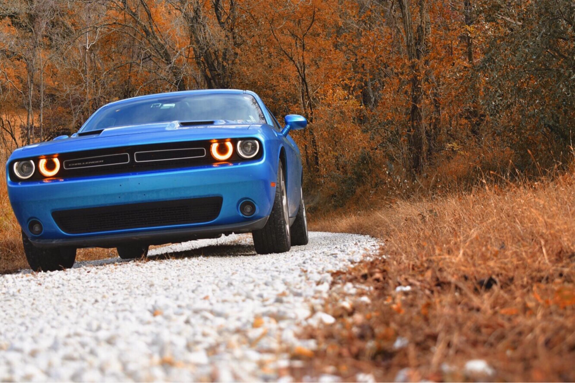 Some say that the Dodge Challenger is the last true muscle car in production.