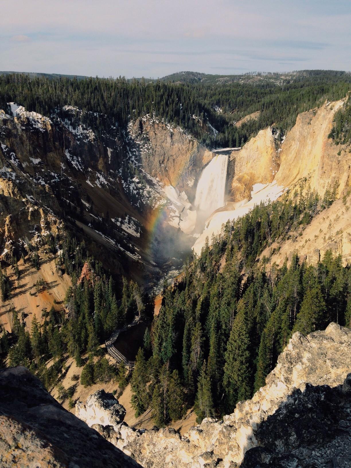 The Lower Falls of the Yellowstone River at Yellowstone State Park.