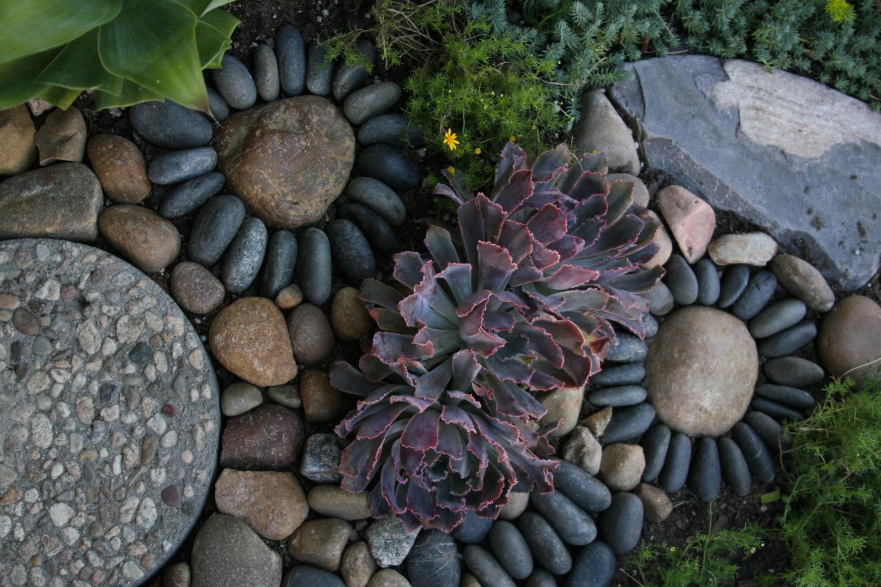 Rocks and pebbles of various sizes and colors make a rock garden surrounded by green plants.