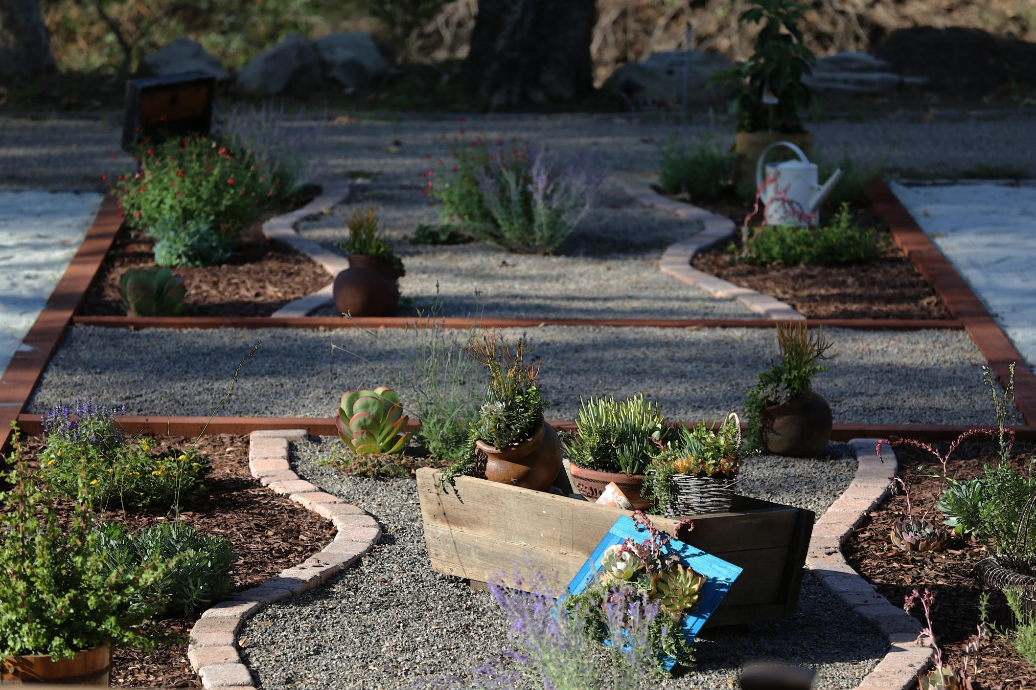Flat rocks, gravel, and stones with small plants set into it for a rocky, rustic garden.