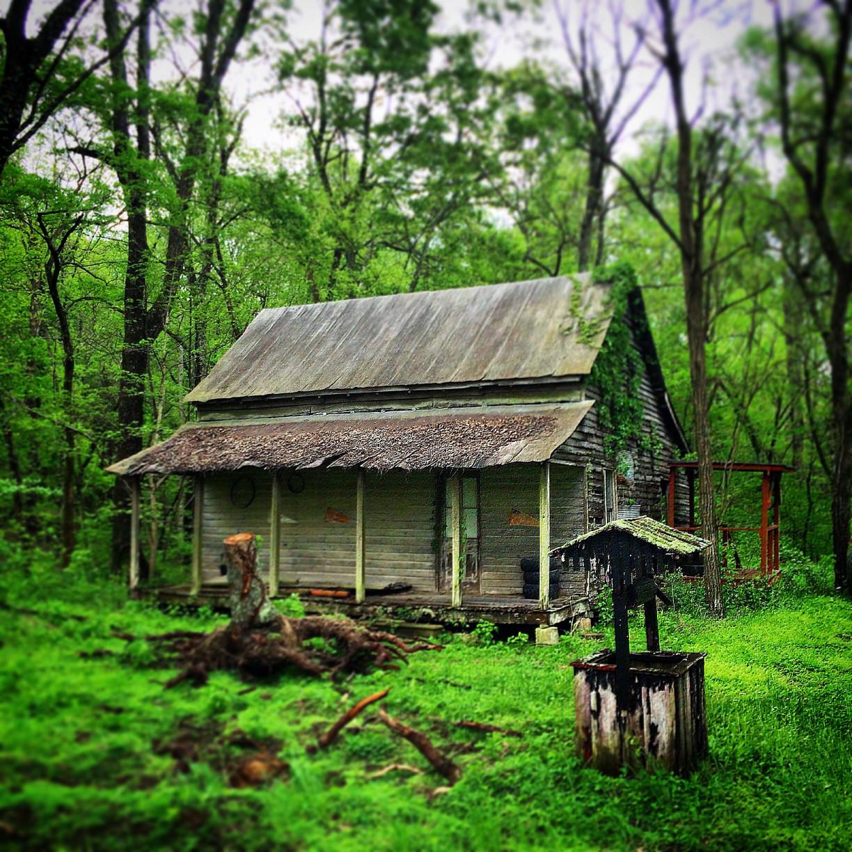 View of an old cabin in lush green woods with a well on the right-hand side. 