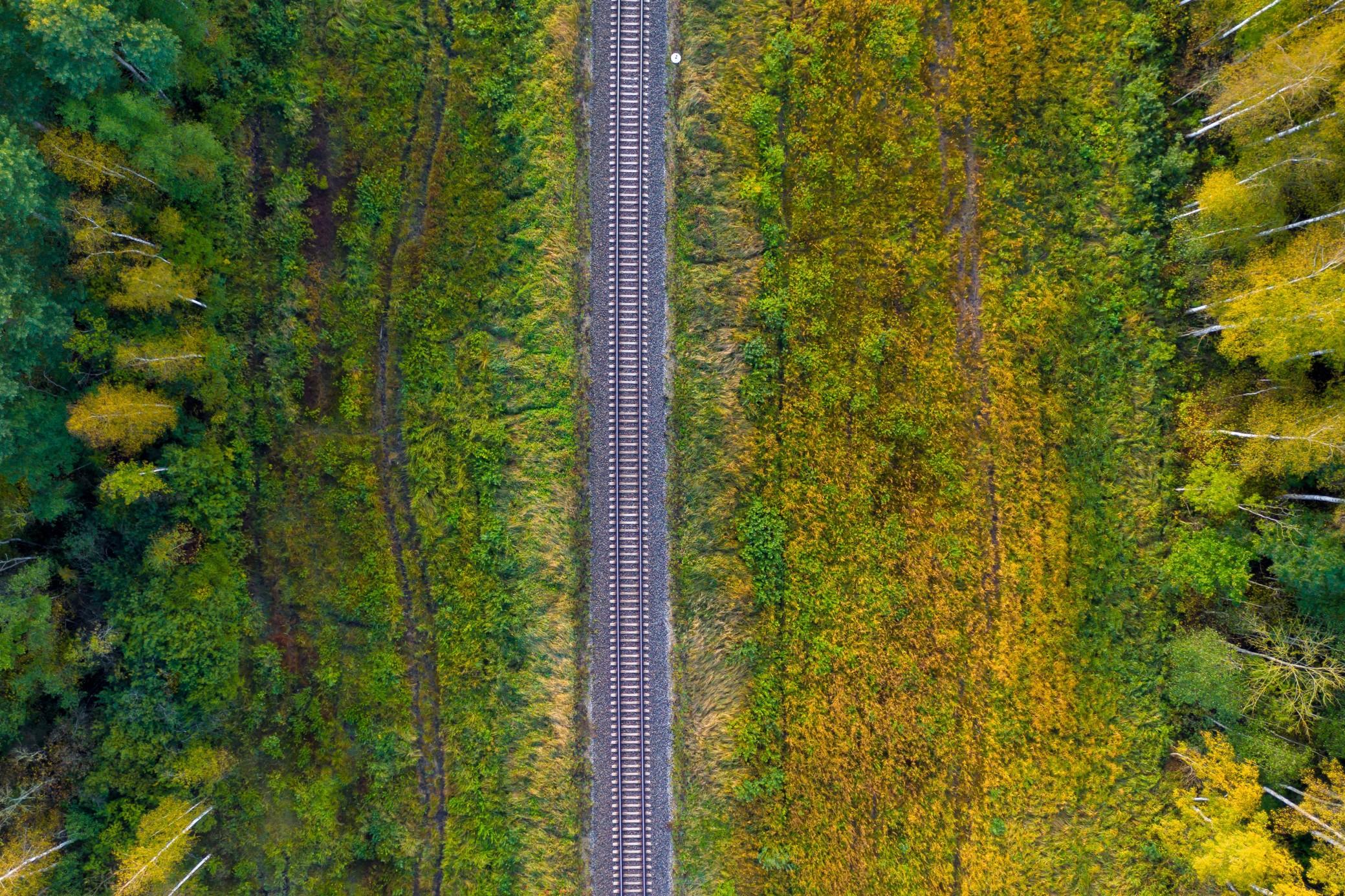 Rural train tracks