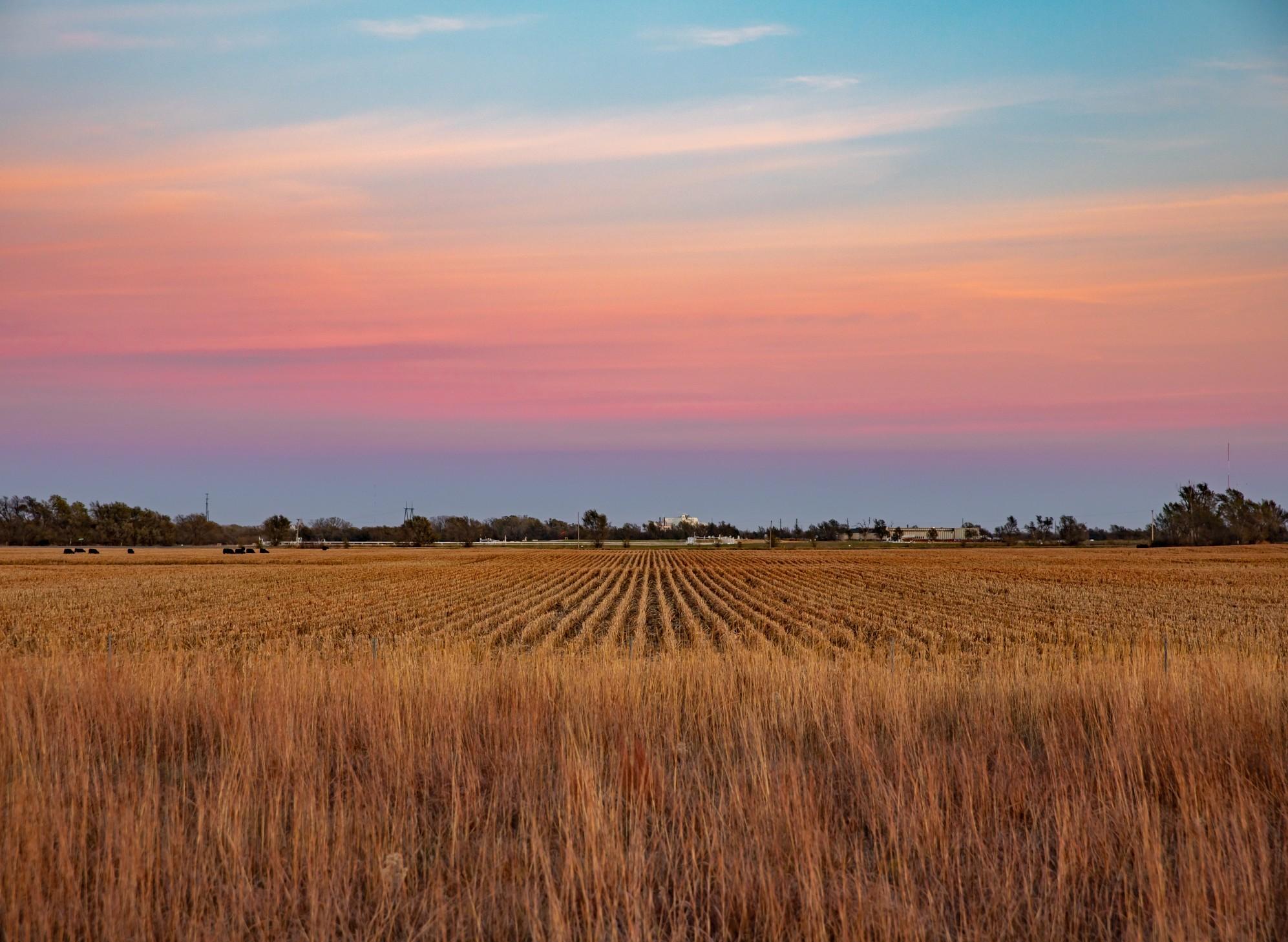 Sunset over a plowed field