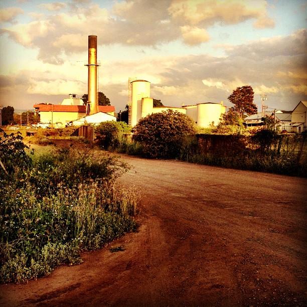 Waialua Sugar Mill