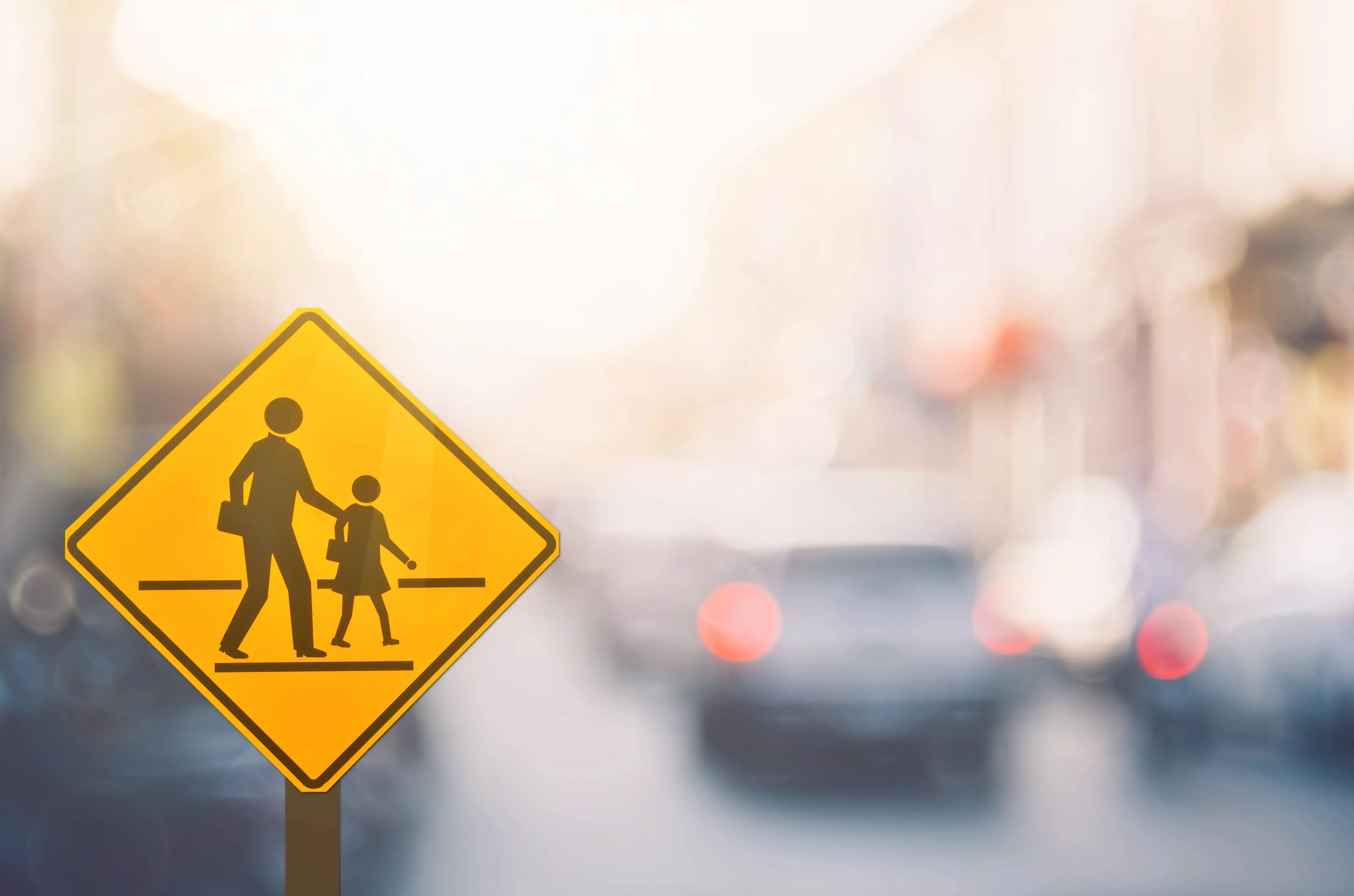 How to Get a School Zone Ticket Dismissed